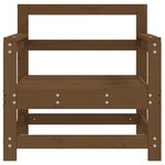 vidaXL Chaises de jardin 2 Pièces marron miel bois massif de pin