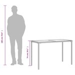 vidaXL Table de jardin dessus en verre gris clair 115x54x74 cm rotin