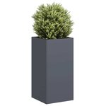 vidaXL Jardinière anthracite 40x40x80 cm acier laminé à froid