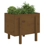 vidaXL Jardinière marron miel 62x50x57 cm bois massif de pin