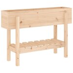vidaXL Lit surélevé de jardin 101x30x69 cm bois de pin massif