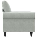vidaXL Fauteuil Gris clair 60 cm Velours