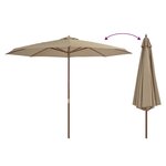 vidaXL Parasol d'extérieur avec mât en bois 350 cm Taupe