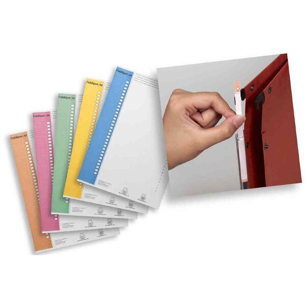 Étiquettes 6mmx296mm pour dossiers suspendus  Nr. 9  couleurs assorties L'OBLIQUE AZ