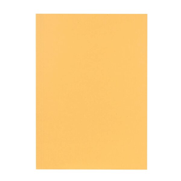 Chemise Carte Recyclée A4 - Chamois - X 100 - Falken
