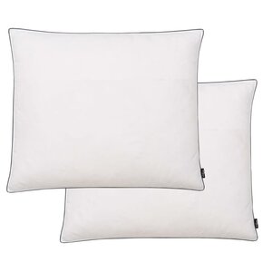 vidaXL Oreiller 2 Pièces Remplissage de duvet 70 x 60 cm Blanc