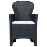 vidaXL Chaises de jardin lot de 2 avec coussin Anthracite Plastique