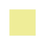 Ramette 500 Feuilles Papier 80g A4 210x297 mm Certifié FSC JONQUILLE TROPHÉE