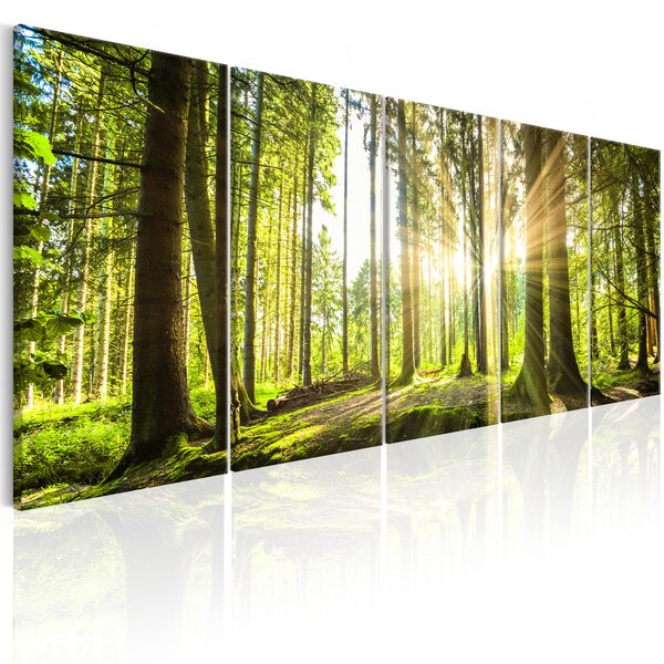 Tableau - sunlight l x h en cm 200x80