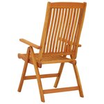 vidaXL Chaises de jardin pliables lot de 2 Bois d'eucalyptus massif