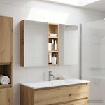 vidaXL Ensemble de Meubles de Salle de Bain 3 Pièces 100 x 10 5 x 60 5 cm