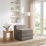 vidaXL Canapé-lit pliable Gris clair 200 x 70 x 15 cm Velours