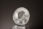 Pièce de monnaie en Argent 10 Dollars g 62.2 (2 oz) Millésime 2023 VEXED MAN