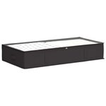 vidaXL Boîte de rangement avec fenêtre transparente 2 Pièces Anthracite