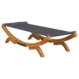 vidaXL Lit de repos extérieur 100x188 5x44 cm Bois courbé Anthracite