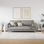 vidaXL Tables d'appoint 2 Pièces avec étagère blanc 25 5x27x60 cm