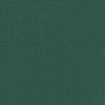 vidaXL Auvent latéral rétractable vert foncé 200x500 cm