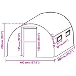 vidaXL Couverture de remplacement de serre (8 m²) 400x200x200 cm Vert