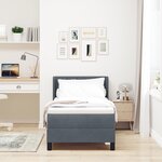 Lit Box Spring vidaXL avec Matelas Gris Foncé 80x200 cm Velours