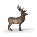 Schleich 14992 - Wild Life Élan d'Amérique