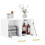 vidaXL Armoire murale Blanc 60x36 5x35 cm Bois d'ingénierie