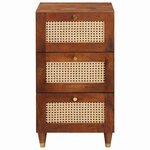 vidaXL Buffet Marron 40 x 33.5 x 75 cm Rotin et bois de mango massif