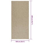 vidaXL Tapis ZIZUR beige 100x200 cm aspect de jute intérieur extérieur
