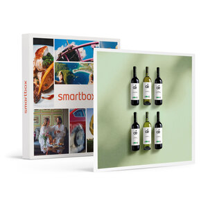 SMARTBOX - Coffret Cadeau Coffret Découverte de 6 vins bio à déguster à la maison -  Gastronomie