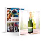 SMARTBOX - Coffret Cadeau Coffret de 3 bouteilles de champagne à déguster chez soi -  Sport & Aventure