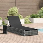 vidaXL Transat avec coussin 1-personne Gris 60 x 200 x 27cm polyrotin