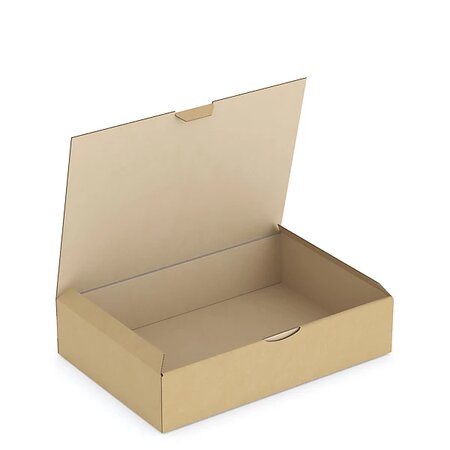 Boîte carton brune d'expédition rajapost 31x21 5x7 cm (lot de 50)