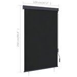 vidaXL Store roulant d'extérieur 120 x 250 cm Anthracite