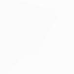 vidaXL Chaises à manger coussins 2 Pièces blanc bois massif caoutchouc