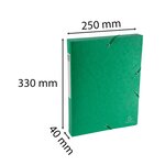 Boite De Classement Exabox Dos 40mm Carte Lustrée Scotten - A4 - Vert - X 10 - Exacompta