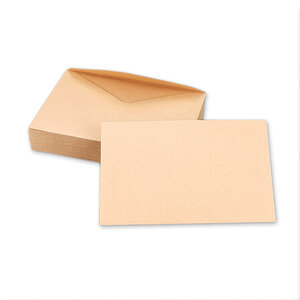 Lot de 1000 Enveloppes ELECTIONS 90x140 mm - chamois 75 g