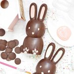 Moule à chocolat 3d lapin