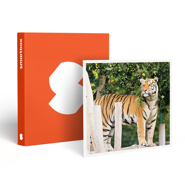 SMARTBOX - Coffret Cadeau Entrée au Parc Bellewaerde en 2024 pour 1 adulte -  Sport & Aventure