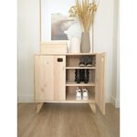Armoire en pin brut 1 porte 2 tablettes dinamic