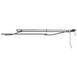 vidaXL Auvent avec Anthracite 3 5 x 2 5 m Métal