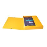 Boite De Classement Exabox Dos 40mm Carte Lustrée Scotten - A4 - Couleurs Assorties - X 10 - Exacompta