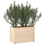 vidaXL Jardinière d'extérieur 100x50x70 cm Bois de pin massif