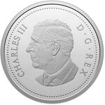 Pièce de monnaie en Argent 5 Cents g 110.66 Millésime 2025 MULTILAYERED BEAVER