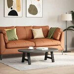 vidaXL Pieds de table basse en forme de A 2 pièces noir 50 x (30-31) cm acier