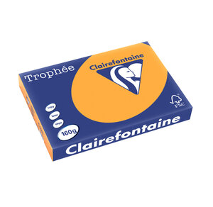 Ramette 250 Feuilles Papier 160g A3 420x297 mm clémentine TROPHÉE