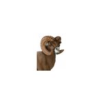 Hansa Peluche Geante Bouquetin 100 cm H et 120 cm L