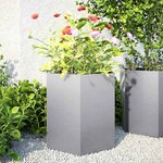 vidaXL Jardinières 2 Pièces hexagone 46x40x45 cm acier galvanisé