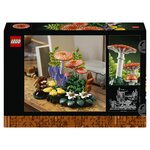 11505 Les champignons des bois ® Botanicals