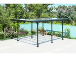 Carport voiture "Denver" - 5.02 x 3.13 x 2.05 m - Transparent / Noir