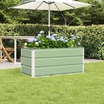 vidaXL Jardinière Vert pastel 100 x 50 x 45 cm Acier galvanisé