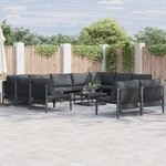 vidaXL Ensemble de canapé de jardin 12 Pièces Anthracite Acier